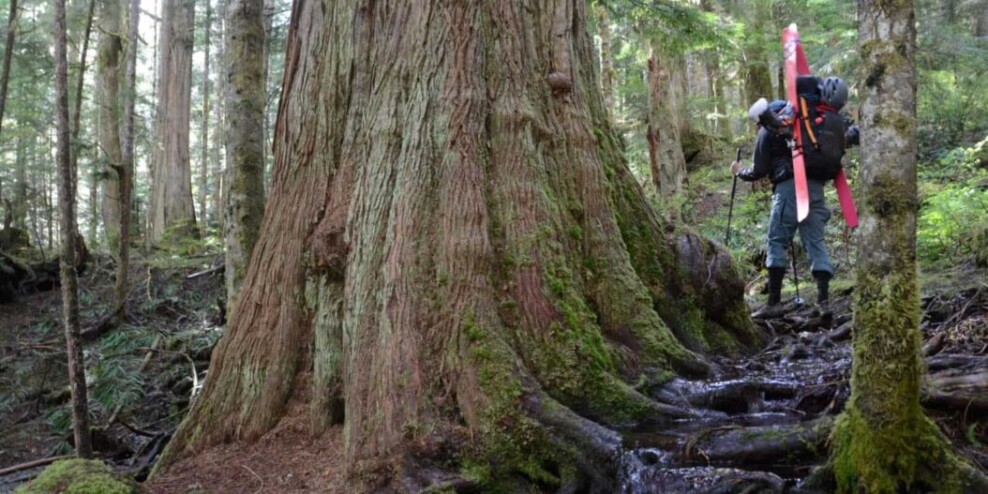 Strathcona Park