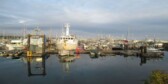 commercial fishing boats