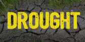 Drought in capitals written over a picture of ground so dry it has cracked.