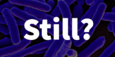 E. coli bacteria in purple with the word Still? written over it.