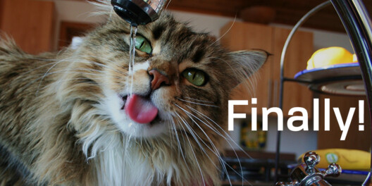 A cat drinks water from the kitchen tap.