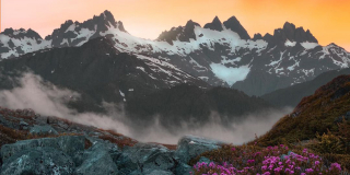 Haihte Mountain Range at sunset with wildflowers in the foreground.